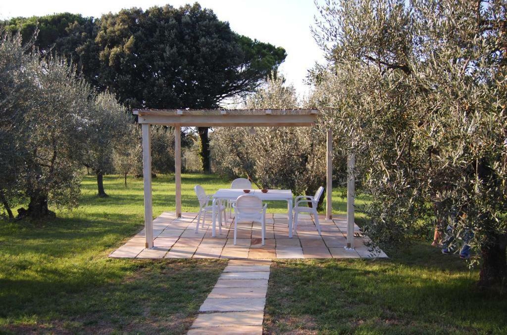 Agriturismo Le Querce Palaia Zewnętrze zdjęcie